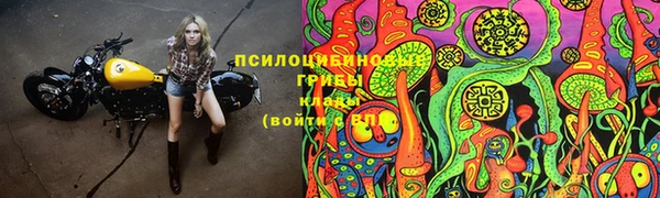 ECSTASY Баксан