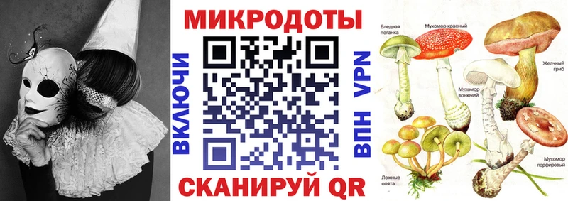 Галлюциногенные грибы мухоморы  Афипский 